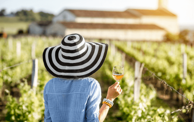 A lady holding a glass of wine in a vineyard