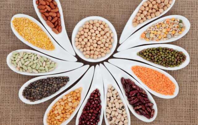 Pulses Include The Benefits of Pulses Food for You and the Environment – thevitalia.com